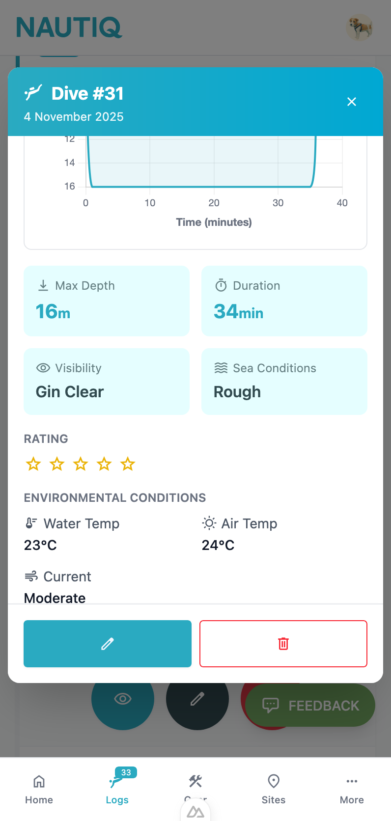 Dive Logging Interface